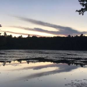 Meet your Posher, Jane